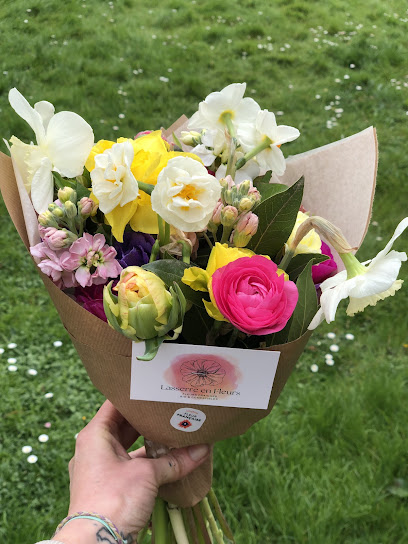 Lasserre En Fleurs, Ferme Bio à Morlanne