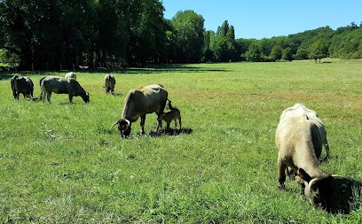 Ferme de La Valette - Périgord, Ferme Bio à Saint-Félix-de-Villadeix