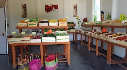 EuseBio - producteur fruits & legumes BIO, Magasin Bio à Roquebrune-sur-Argens