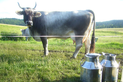 Alpage De La Boivine, Ferme Bio à Rochejean