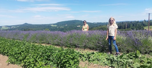 Ferme de Belle Herbe, Ferme Bio à Trébry
