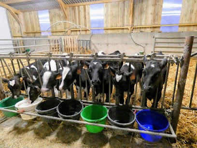 Ferme de la Haule, Ferme Bio à La Hague