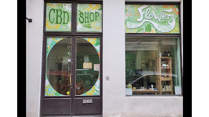 Cbd Lyon - Flowers Power Cbd Lyon Magasin Bio à Lyon 06