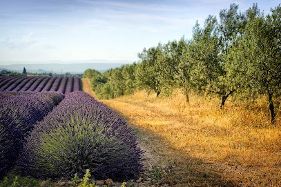 DOMAINE LES GRANDES MARGES chez Alex et Françoise JAUBERT, Ferme Bio à Valensole
