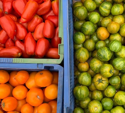 Jus de tomate, Ferme Bio à Oloron-Sainte-Marie