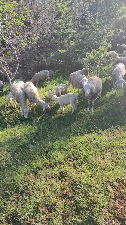 The Farm at Green Hat, Ferme Bio aux Bouchoux
