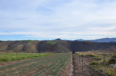 Saltus - miel et safran biologiques du pays basque, Ferme Bio à Ossès