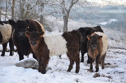 Ferme du Grand Freydier, Ferme Bio à Mars