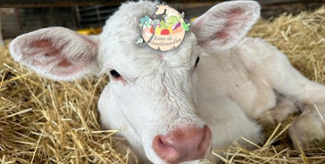 Ferme du Brandstouden, Ferme Bio à Tritteling-Redlach