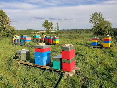 Mes Abeilles Mon Miel, Magasin Bio à Hanvoile
