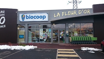 Biocoop Fleur d'Or, Magasin Bio à Aiguilhe
