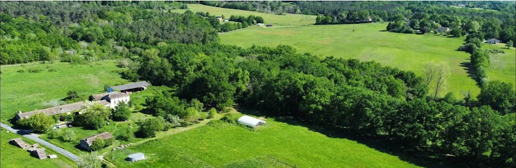 Le Bocage Hardi Ferme Bio à Montpeyroux