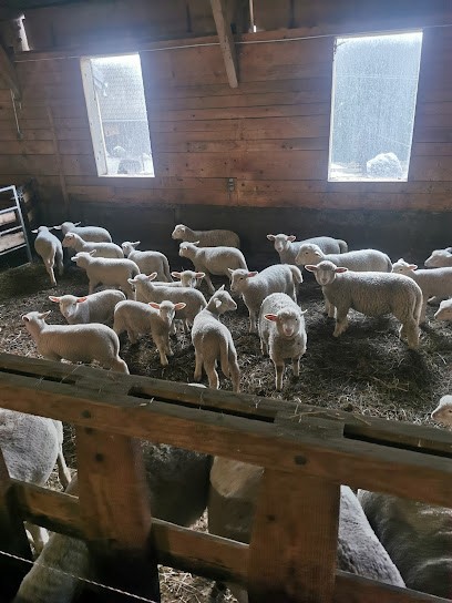 La Ferme Du Grand Veymont, Ferme Bio à Gresse-en-Vercors