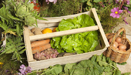 Ferme De La Croix Saint Claude Magasin Bio à Lille