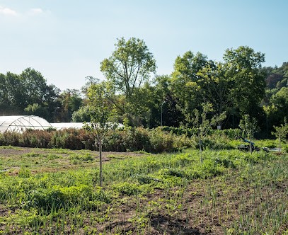 La Ferme Sur L'Île, Ferme Bio à Bougival