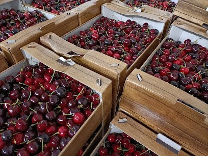 ProNatura Grand-Est, Magasin Bio à Reichstett