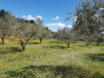 L'Olivette - Huile d'olive bio AOP Vallée des Baux de Provence, Ferme Bio à Eygalières