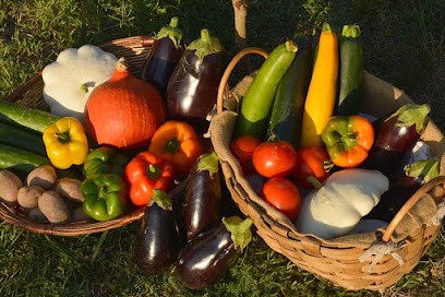 Jardin De Cocagne Terra Ferma, Ferme Bio à Castillon-Savès