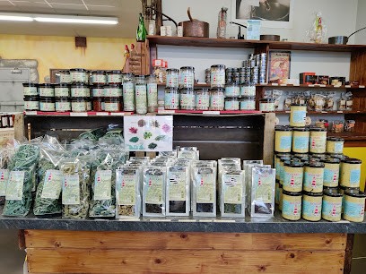 Ty Algues, Magasin Bio à Plumelin