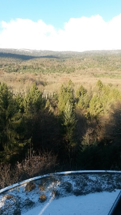 Diamant-Terre, Magasin Bio à Chevry