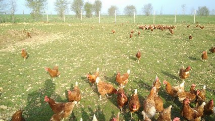Les Oeufs Bio d'Evrecy, Ferme Bio à Évrecy