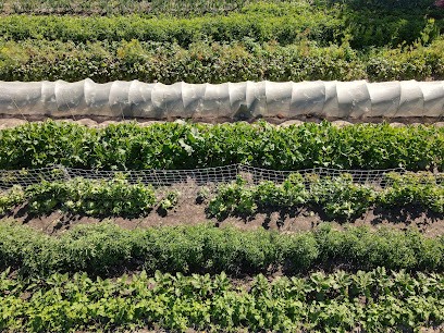Le Potager D'Iris (légumes Bio), Ferme Bio à Hourtin