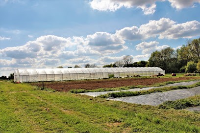 Les Jardins du Tormellier, Ferme Bio à Saint-Pierre-de-Cormeilles