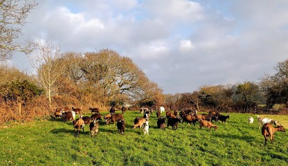 Chèvrerie de la vallée des Moulins, Ferme Bio à Carneville