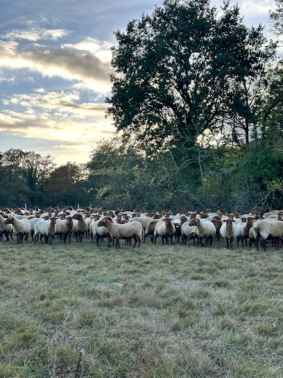 Ferme Du Chéreau, Ferme Bio à Cerdon