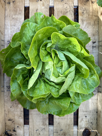 Lou Myraicher, Ferme Bio à Bélus