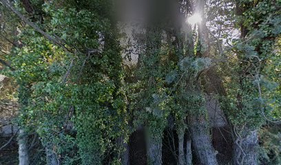 Huile D'olive BIO Domaine De La Fanette, Ferme Bio au Puy-Sainte-Réparade