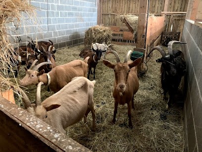 La Ferme De Locria, Ferme Bio à Mégrit