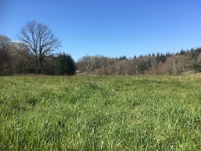 La Ferme Du Bel'Haut, Ferme Bio à Saint-Juan